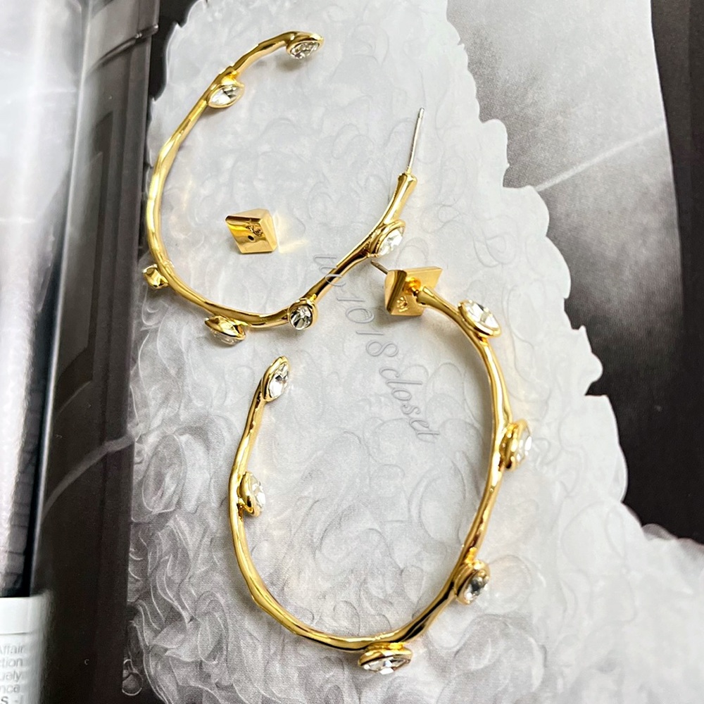 Alexis Bittar Nanette Crystal Hoop Earrings - Picture 7 of 11